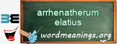 WordMeaning blackboard for arrhenatherum elatius